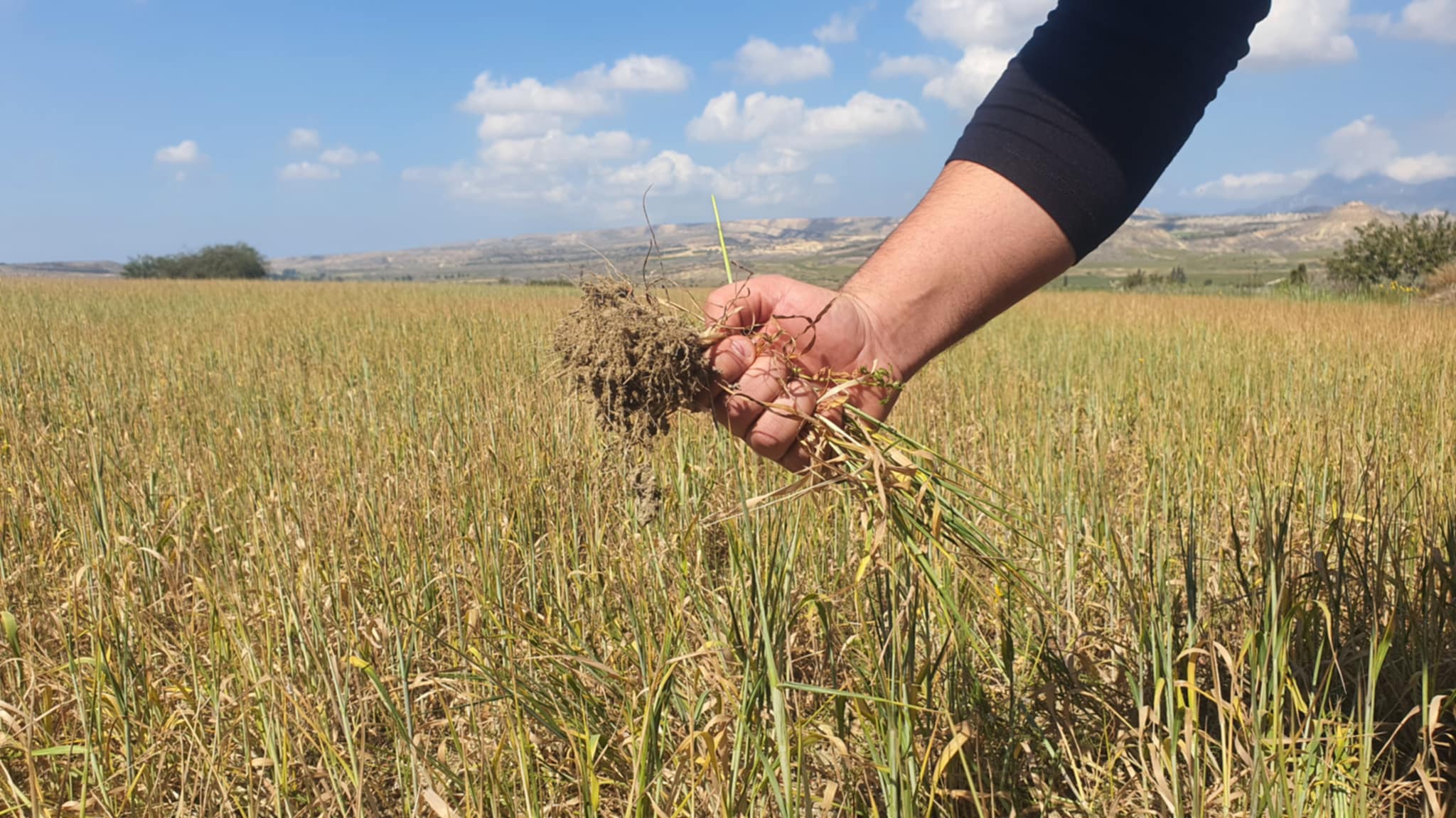 Two emergency support programs for farmers: amounts and eligibility criteria