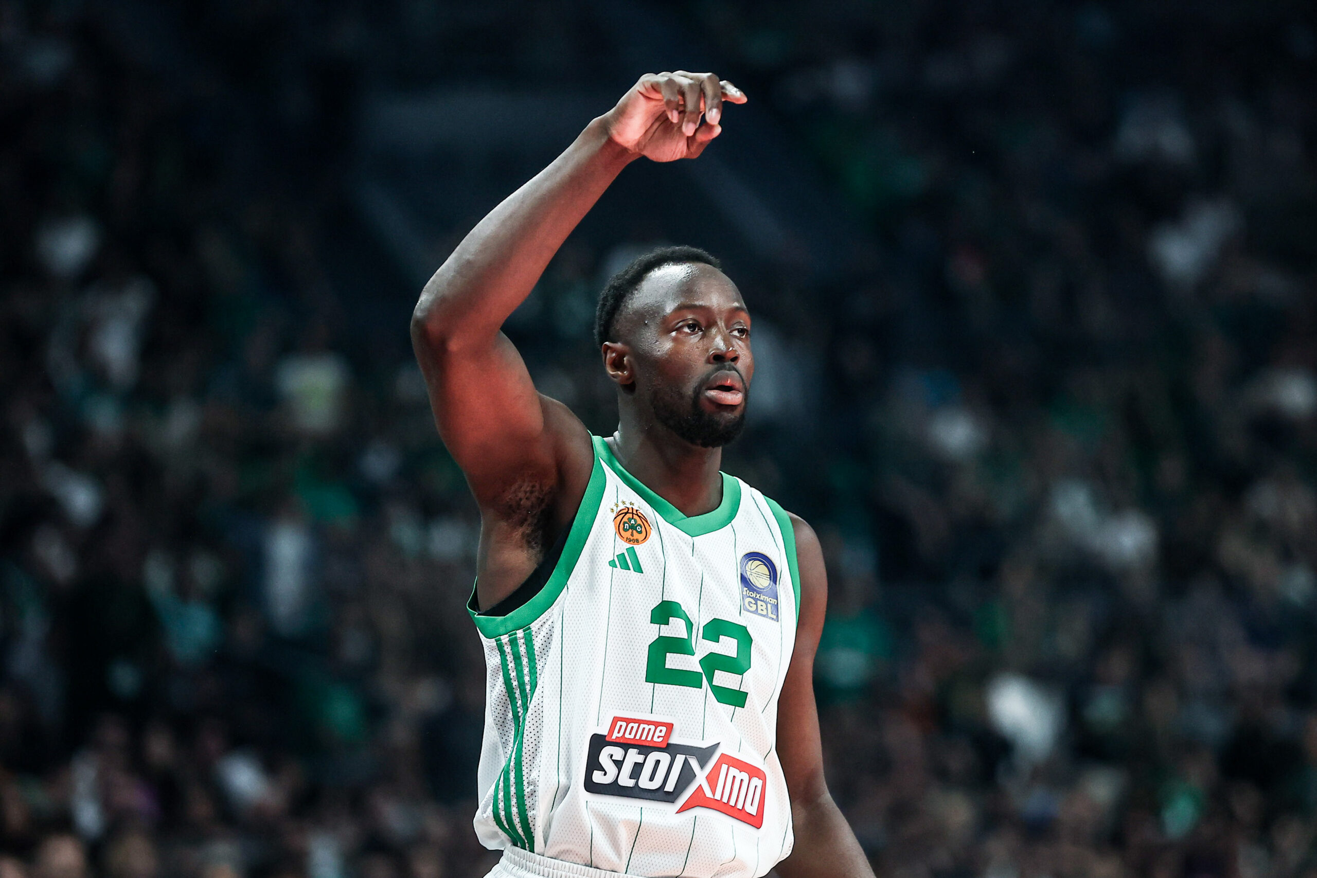 Grant: “Obradović pays attention to even the smallest details”