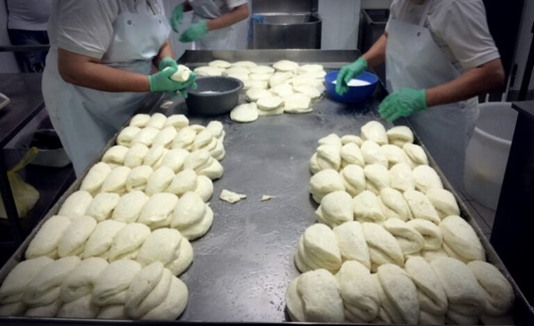 Halloumi and Green Cheese-Making