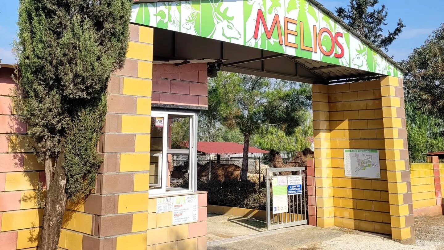 Melios refutes Pipi’s claims: “Legally imported animals that arrived from the Netherlands”