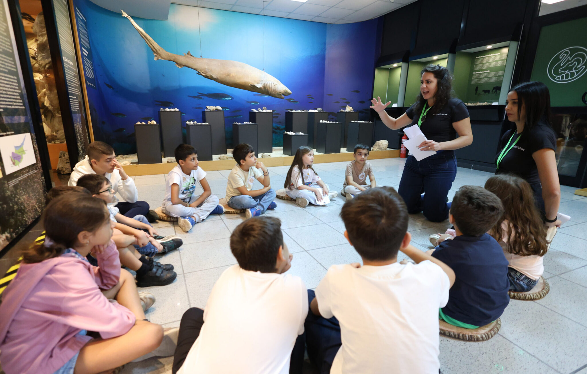 With a special festival, the Fotiadis Foundation celebrated the 30th anniversary of the Cyprus Museum of Natural History