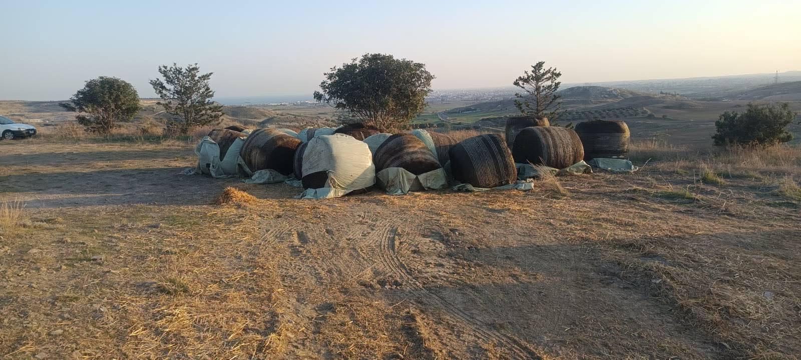 Commotion in Troulos: Bales of hay are being transported from livestock farms affected by foot-and-mouth disease to be burned in a pit
