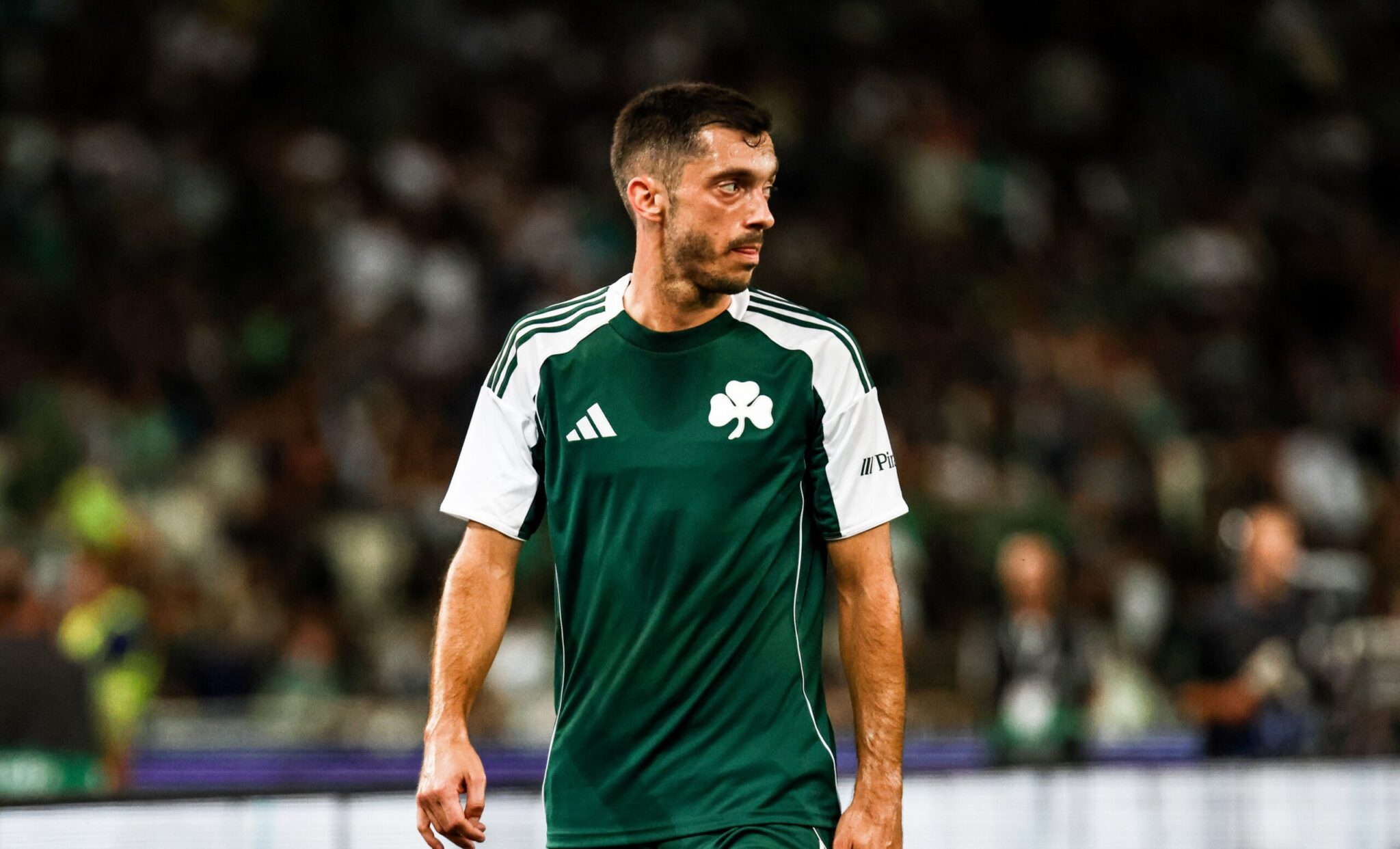 Panathinaikos honors kourbelis and kotsiras
