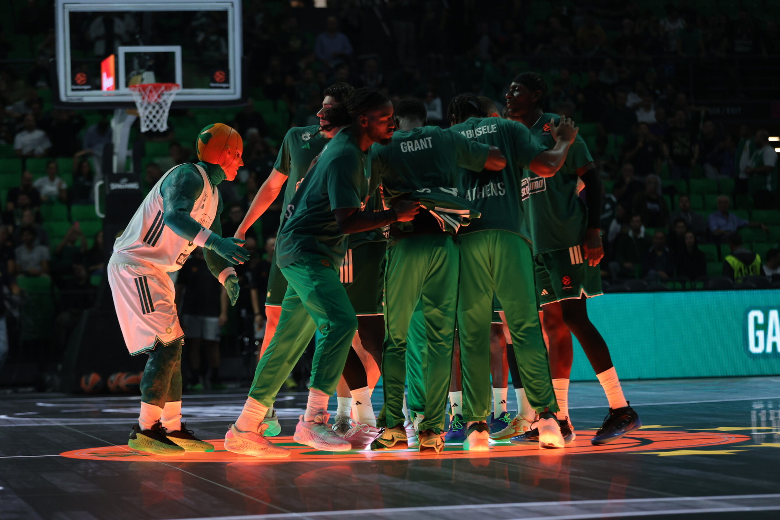 Panathinaikos – Vikos Faclons: Behind-closed-doors opener for the Shamrock against the newly promoted team from Epirus