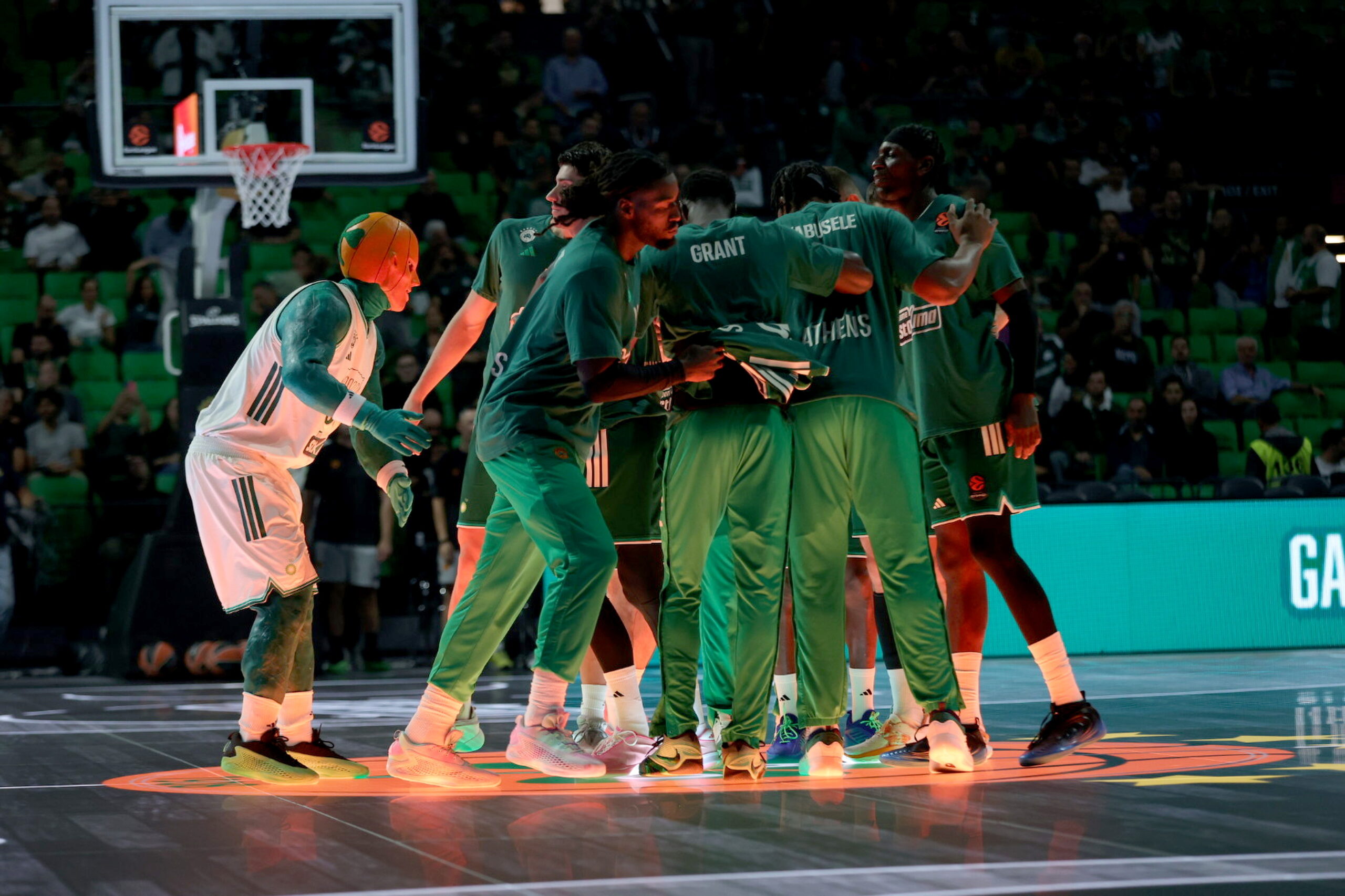 Panathinaikos vs. Fenerbahçe: The “Greens” are raring to go to… end their opponents’ unbeaten streak and maintain their own