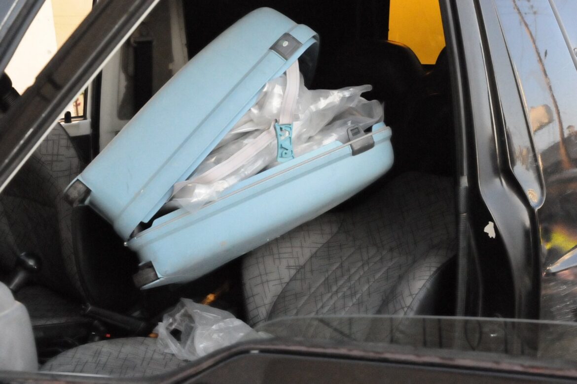 Monkeys, spiders, and snakes… in luggage: What was found in suitcases and how animal smuggling works in Cyprus