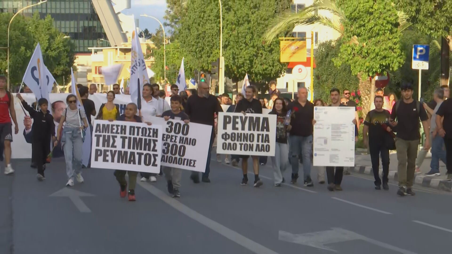 “Affordable Electricity for All”: What the memorandum submitted by Direct Democracy to the President of the Republic says (PHOTO)