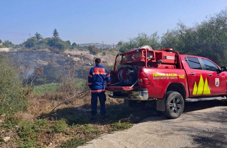 Three decares of wild vegetation were reduced to ashes; the fire in Tremithousa is now fully under control (PHOTO)