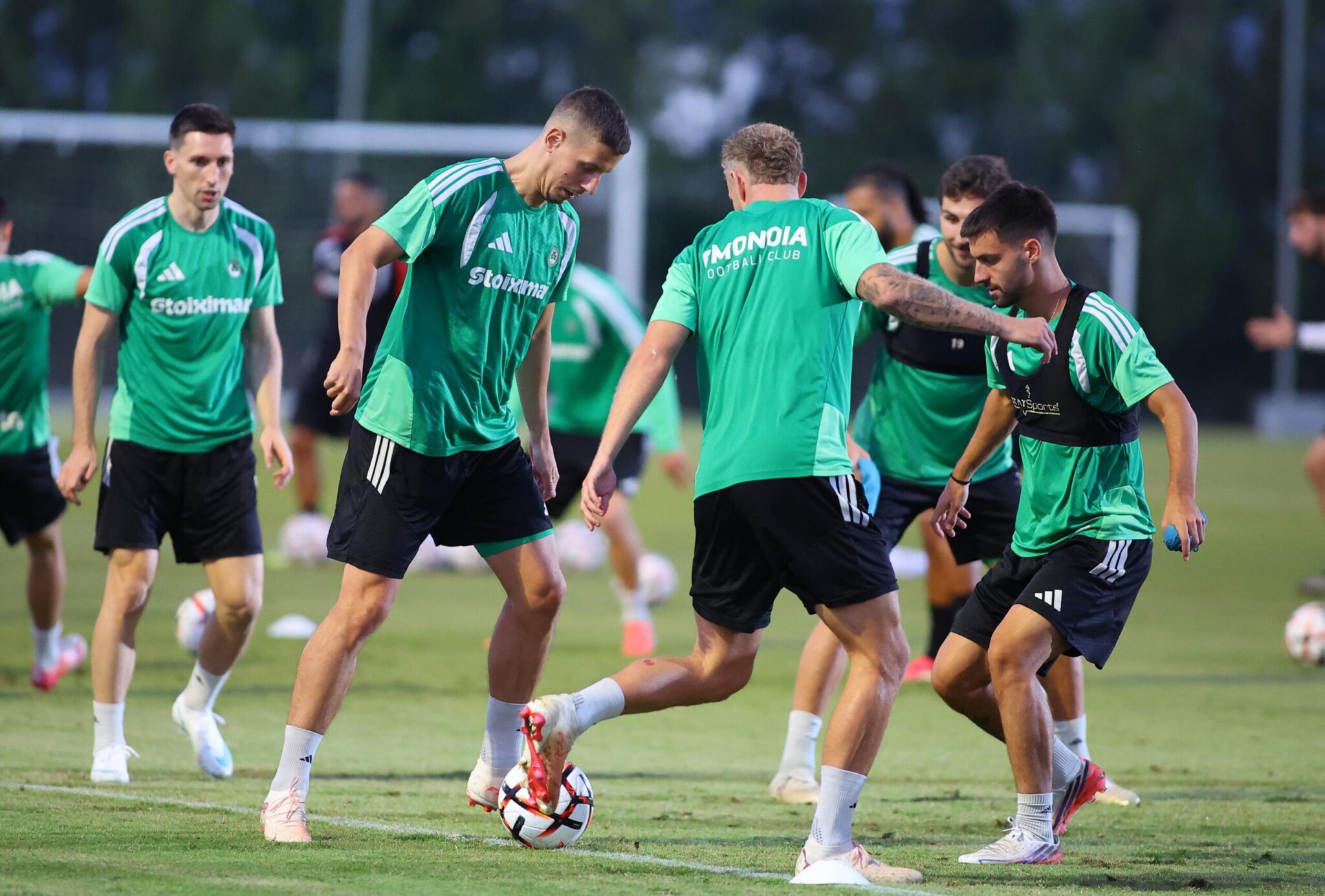Omonia wraps up preparations ahead of benfica match (PHOTO)