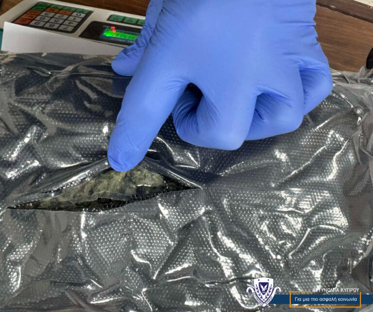 They had a tip about a package containing drugs arriving, so they set up a stakeout and caught the recipient