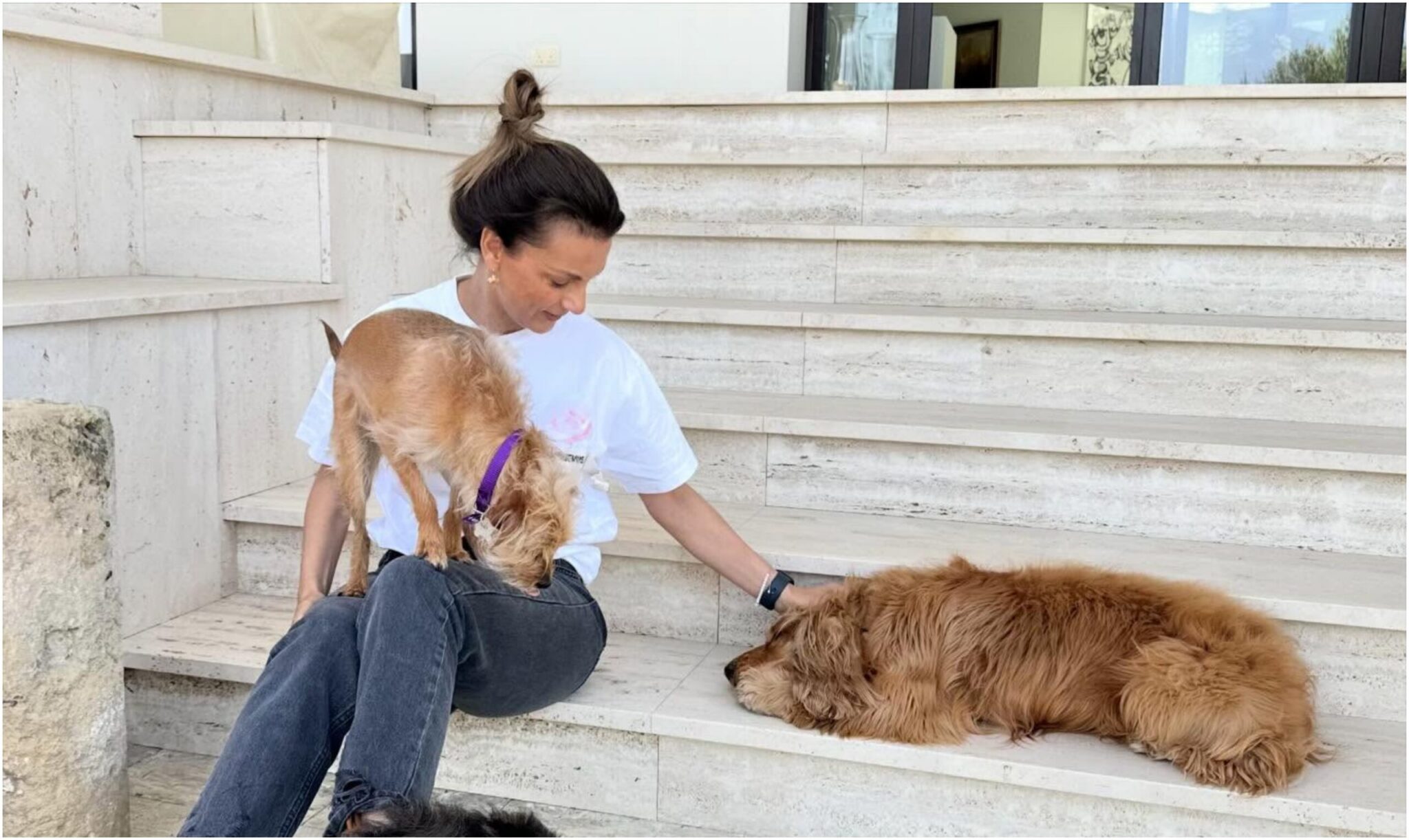 Giota Papadopoulou’s touching “goodbye” to her beloved dog, Team