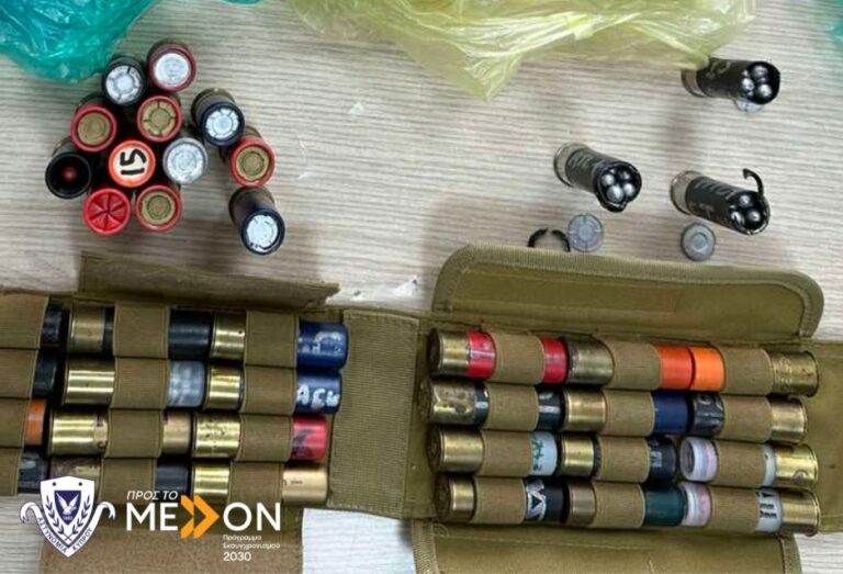 PHOTO: Dozens of cartridges and dead game were found in a home in Paphos