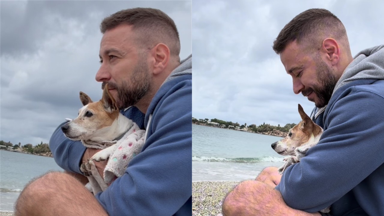 Hearts are breaking for the well-known Milou: Greg took his beloved dog to the beach one last time