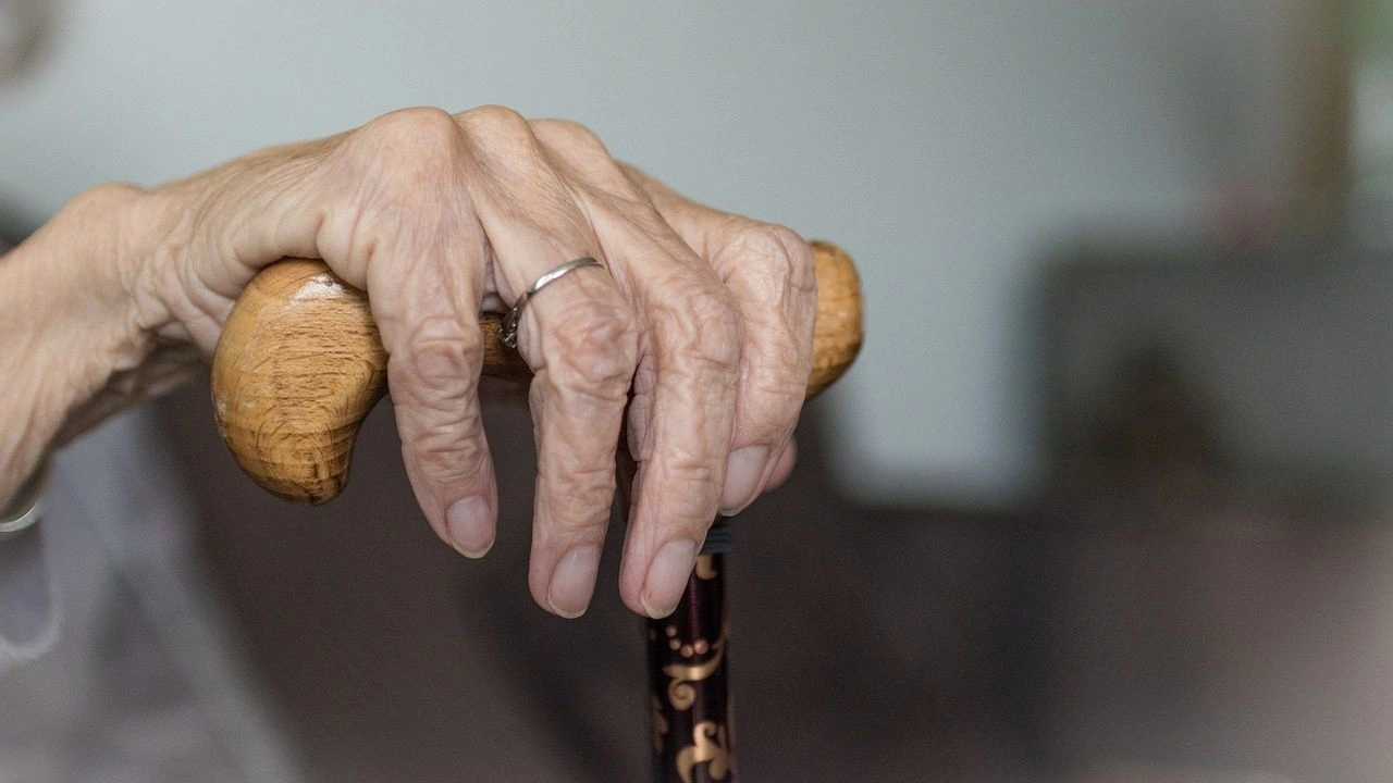 Theft from an elderly woman’s home: The two suspects turned themselves in to the police