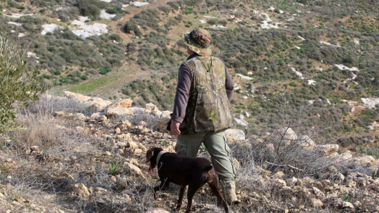 37,000 Hunters for hares and partridges: Everything you need to know before the “season opener”