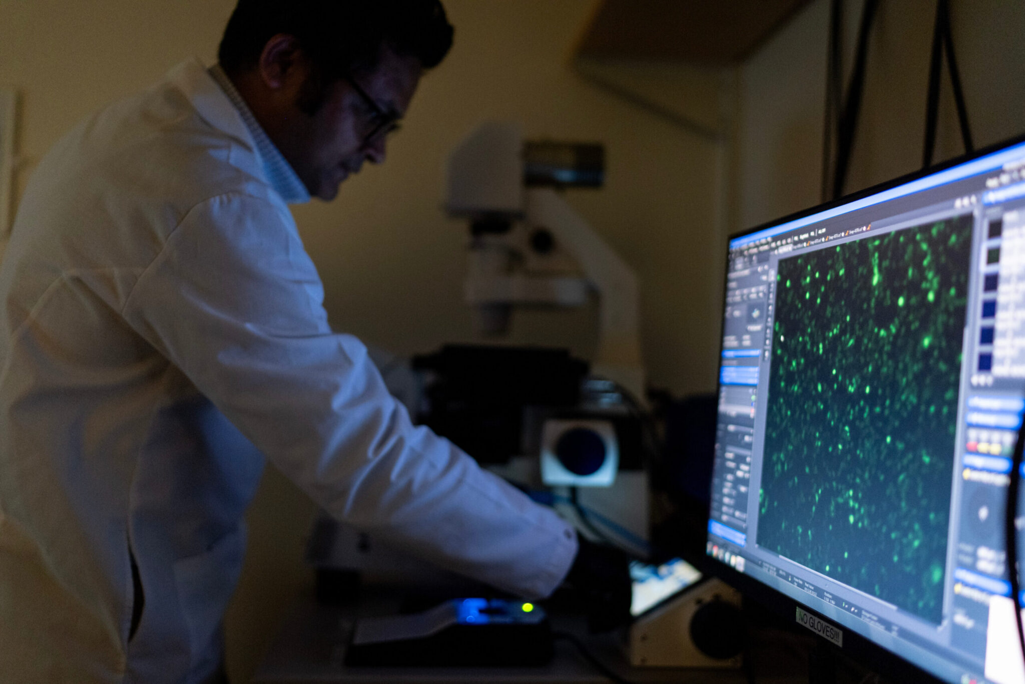 Alarm in Mexico: An extremely dangerous brain-eating amoeba has been detected