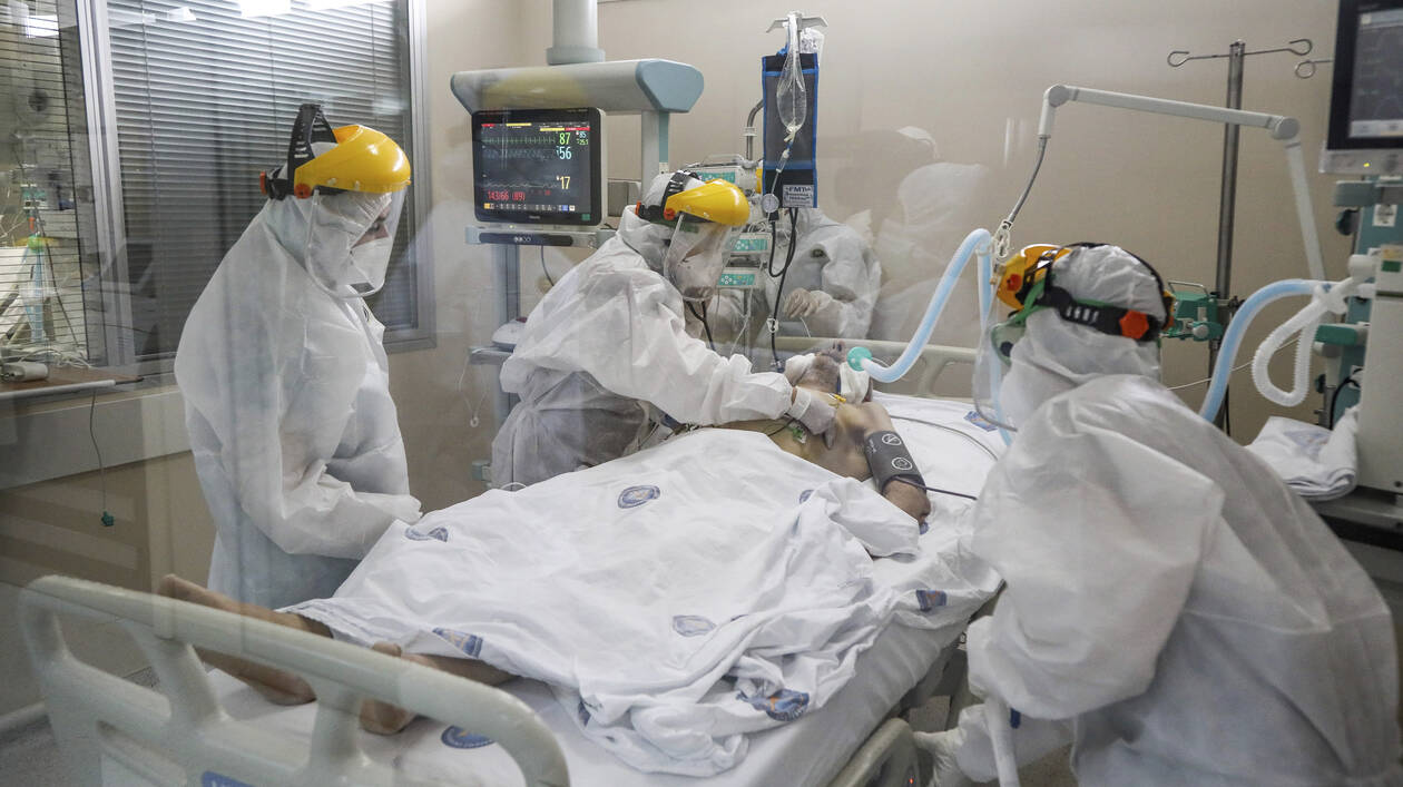 Ministry of Health: There is no cause for concern regarding the plague; the situation is being monitored
