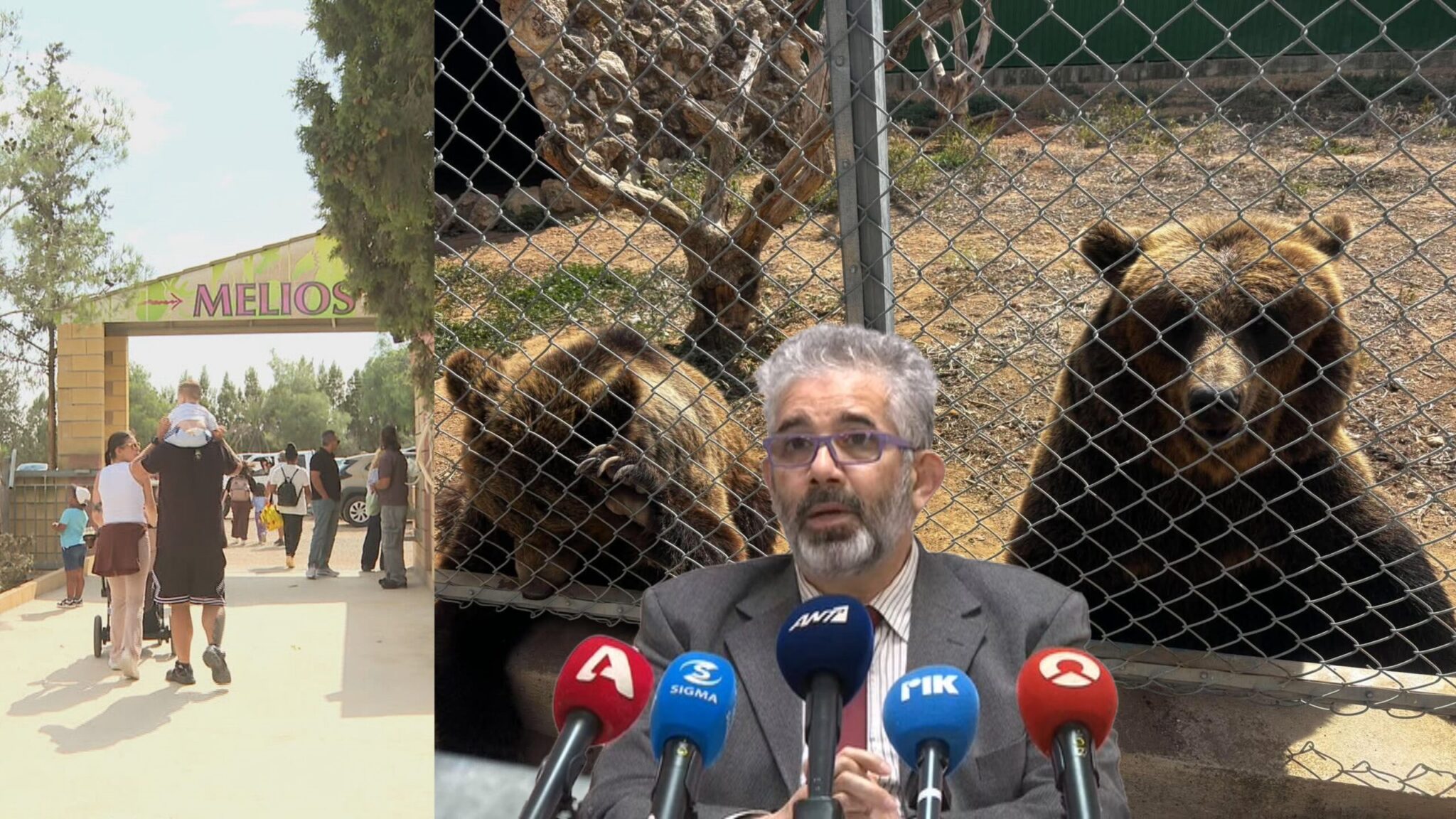 Pipis responds: Why is melios zoo still open, and how is it bringing bears to cyprus?