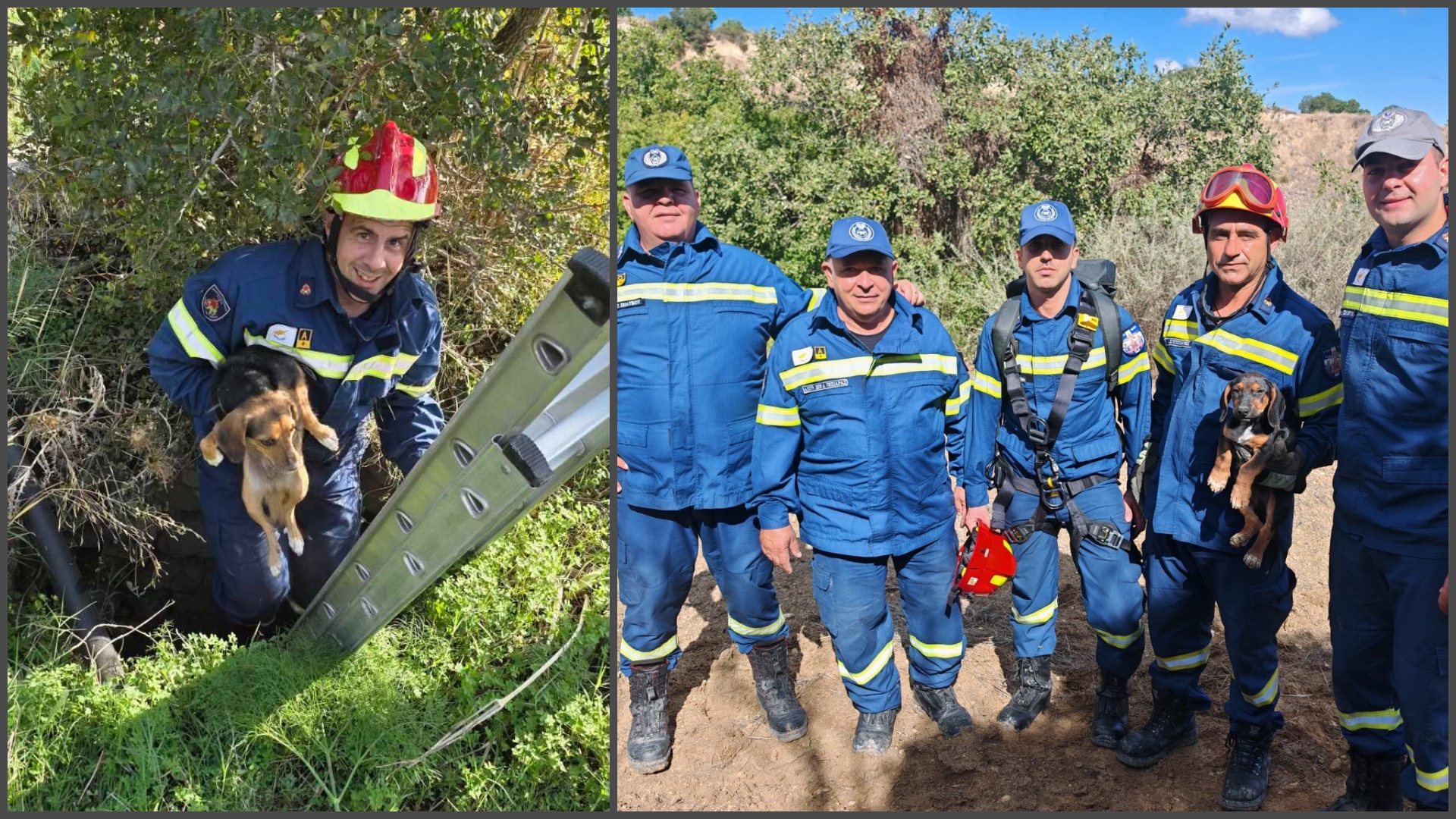 VIDEO: The moment firefighters rescue two puppies from a ravine in Paphos and a pit in Larnaca