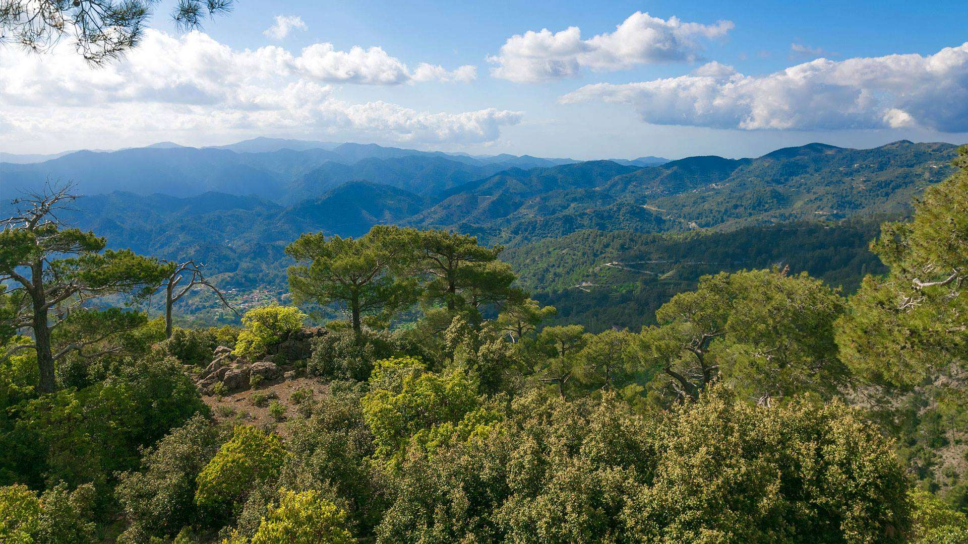 Temperatures will plummet tonight in the mountains; thermometers will read 6 degrees